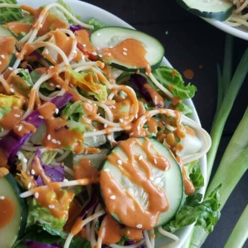 SALSA RCS Asian Peanut Noodle Salad 1 rotated 1