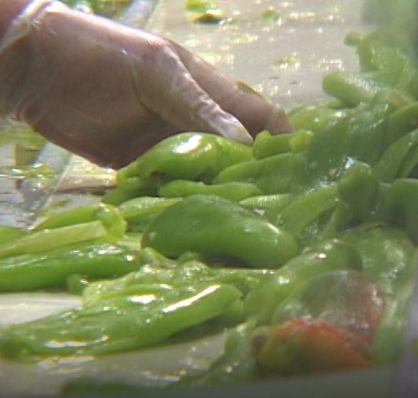 Inspection Line Green Chile cropped